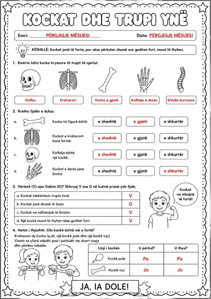 Answer key for Kockat — emërtimi dhe vetitë — free printable Science worksheet