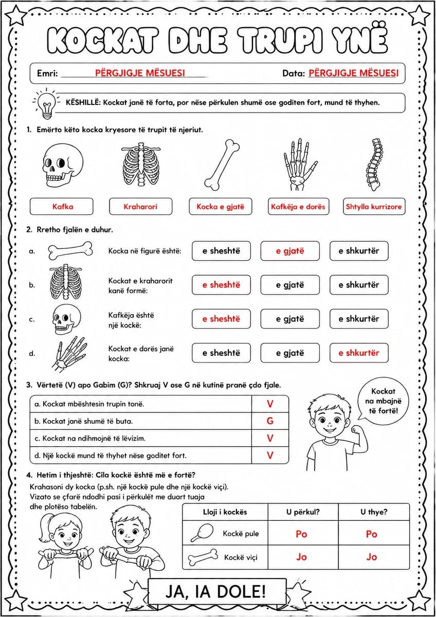 Answer key for Kockat — emërtimi dhe vetitë — free printable Science worksheet