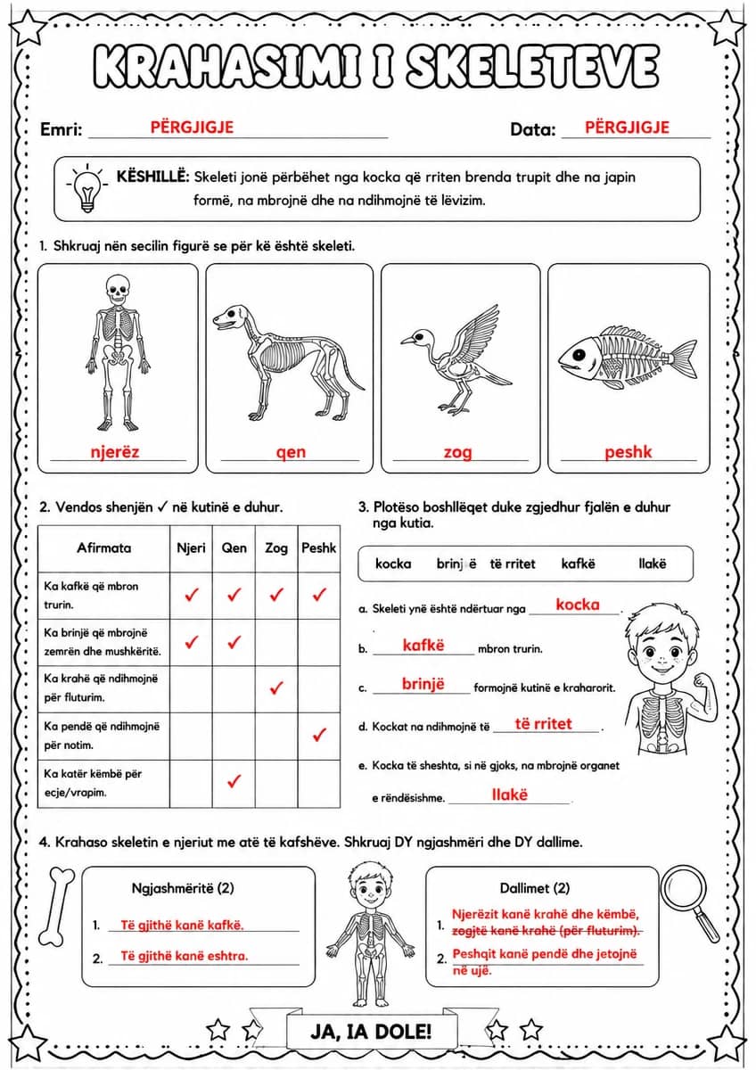 Answer key for Krahasimi i skeleteve — free printable Science worksheet