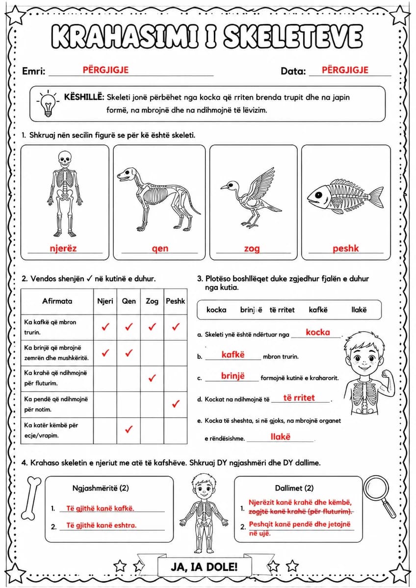 Answer key for Krahasimi i skeleteve — free printable Science worksheet