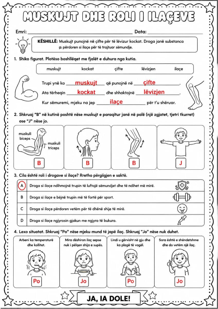 Answer key for Muskujt dhe roli i ilaçeve — free printable Science worksheet