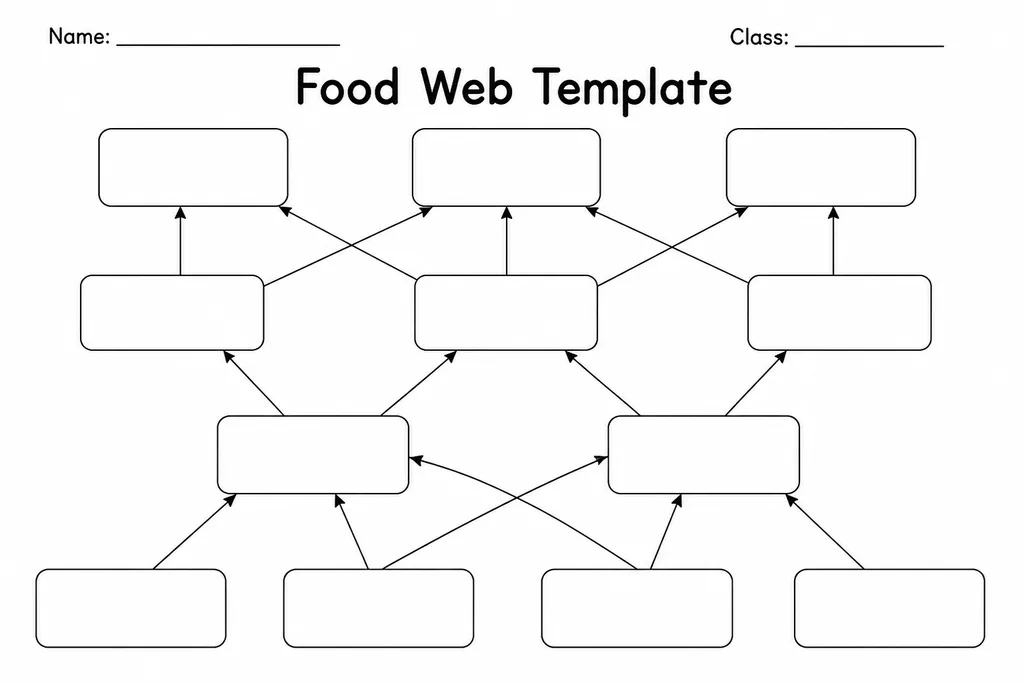 Blank printable food web template with empty organism nodes and unlabelled directional arrows for mapping ecosystem feeding relationships