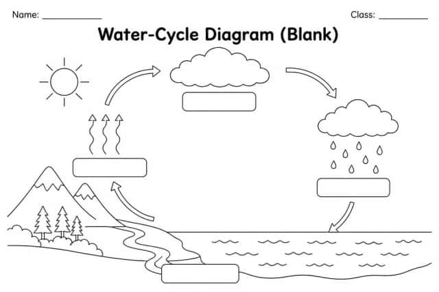 Water-Cycle Diagram (Blank)