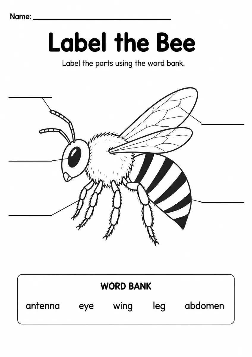 Bee label the diagram worksheet for Grade 3