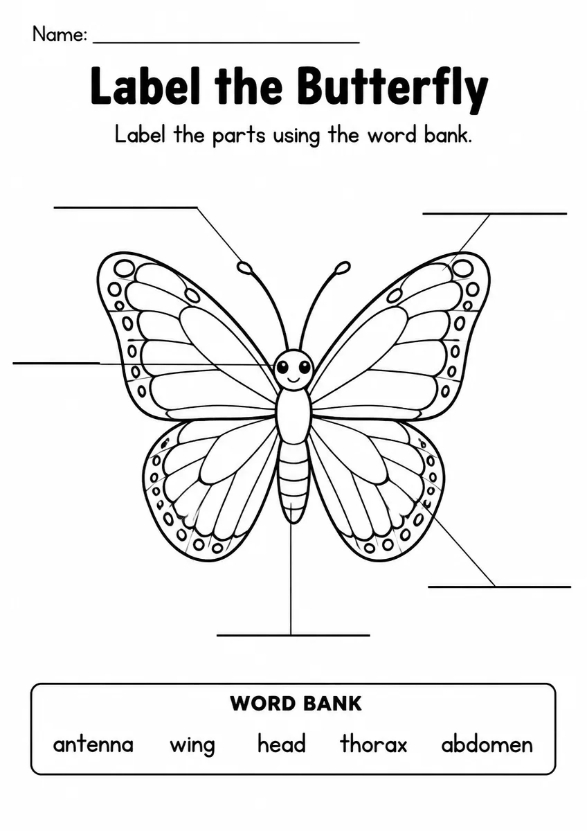 Butterfly label the diagram worksheet for Grade 1