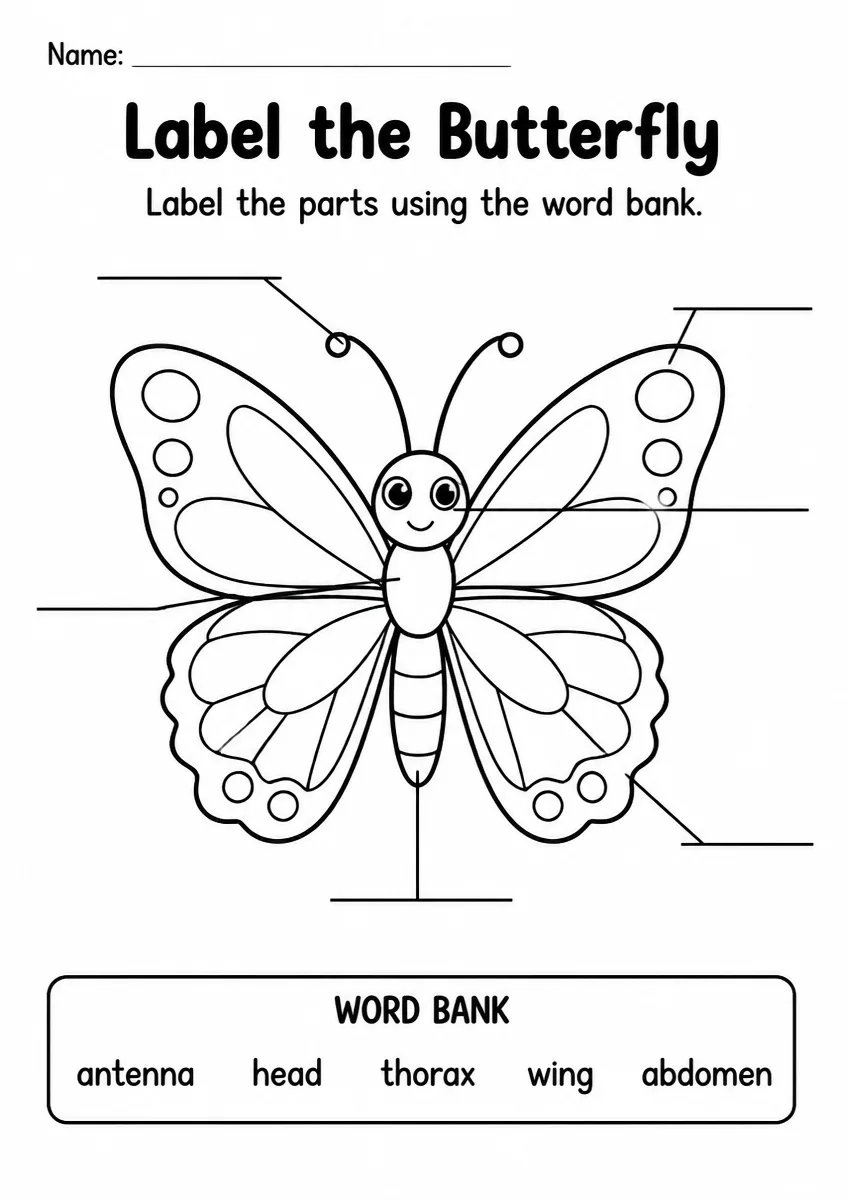 Butterfly label the diagram worksheet for Kindergarten