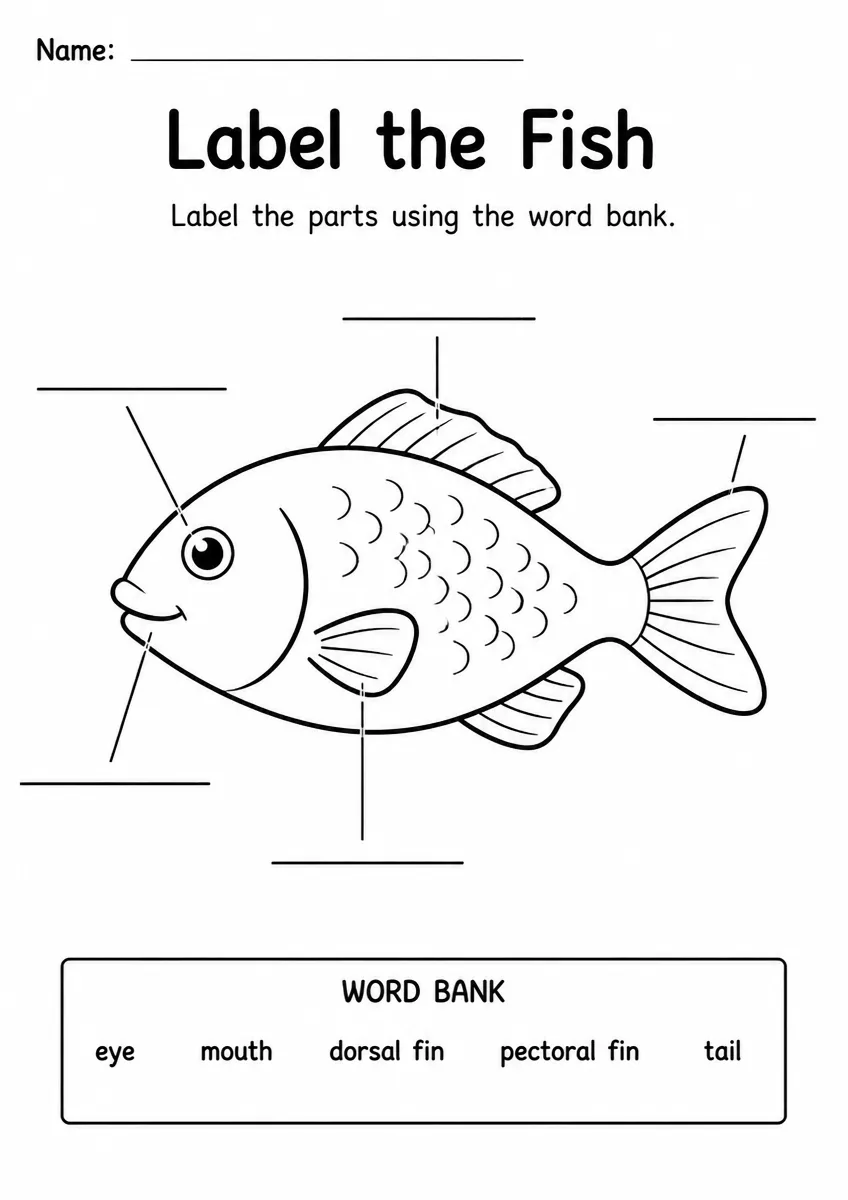 Fish label the diagram worksheet for Grade 1