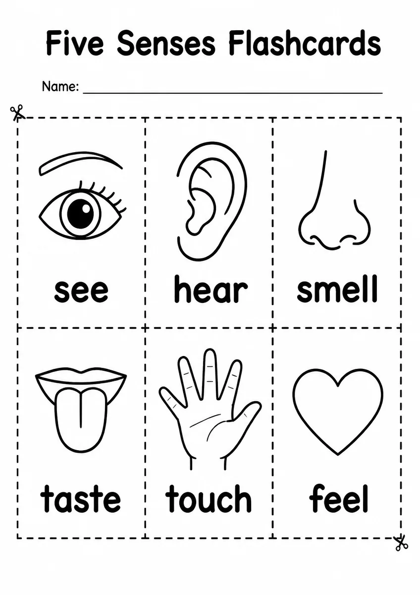 Five Senses flashcards worksheet for Grade 2