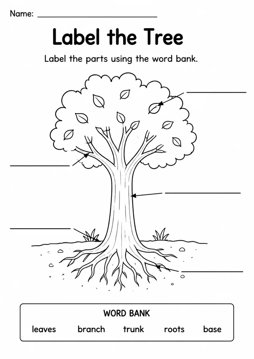 Tree label the diagram worksheet for Grade 2